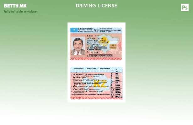 Модерен стил Казахстан DL шаблон